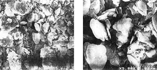 Boron Nitride High Temperature Coating